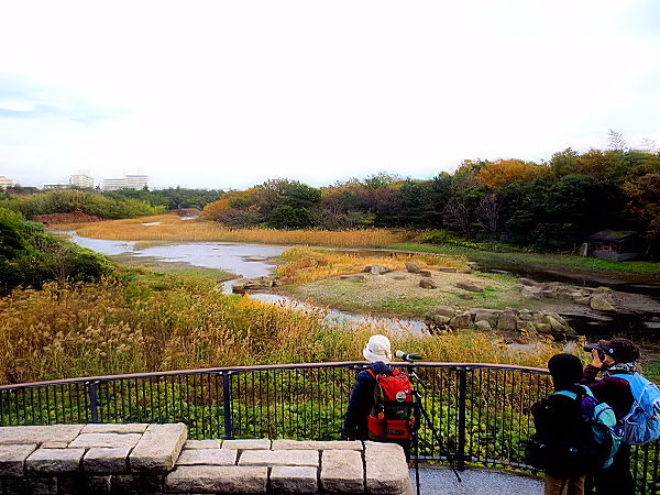 葛西臨海公園　Ksai Rinkai Park　(1)